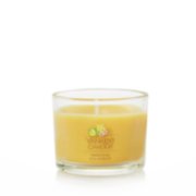 Tropical Starfruit Tea Light Candles - Tea Light Candles