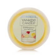 vanilla cupcake best selling easy meltcups