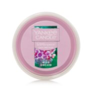 Wild Orchid