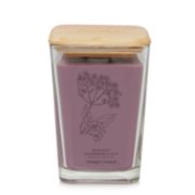 Resilient Elderberry & Acai