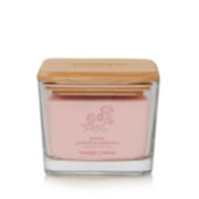 Joyful Jasmine & Gardenia