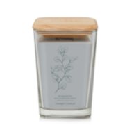 Refreshing Eucalyptus & Mint