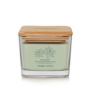 Optimistic Lotus Blossom & Aloe