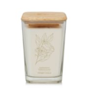 Harmonious Neroli & Ylang