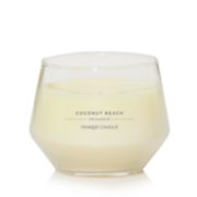 Coconut Beach 20 oz. Signature Large Tumbler Candle - Signature Large  Tumbler Candles