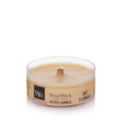 oat flower petite candle