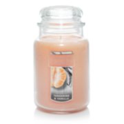 tangerine and vanilla large jar candles