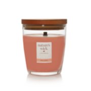 Pink Coral