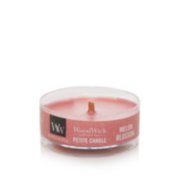 melon blossom petite candle