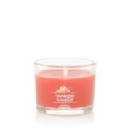 Yankee Candle Fragranced Wax Melts 3 Pkg 6 Ct Apple Pumpkin 1 Pkg