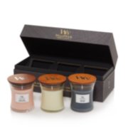 Yankee Candle Car Jar Ultimate 3-Pack, Sunsand, Pinksand & Beachwalk, 2070238