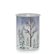 Winter Scene