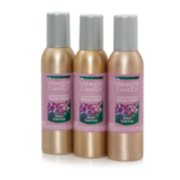 Wild Orchid