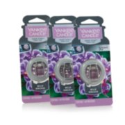 Wild Orchid