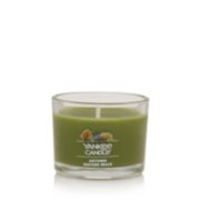 Duftkerzenladen - Yankee Candle Autumn Nature Walk 411 g