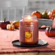 spiced pumpkin large jar candle on tray image number 3