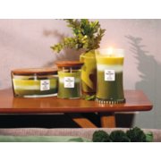 trilogy evergreen and wood smoke and frasier fir large and medium jar candles and ellipse jar candle image number 3