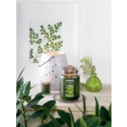 emerald isle large jar candle with illuma lid on tray with votive candle on votive holder and jar candle holder image number 1