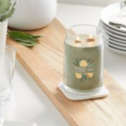 sage and citrus signature large jar candle on table image number 3