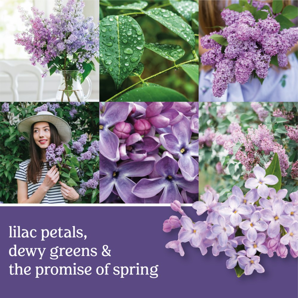 Lilac Blossom Fragrance Mist