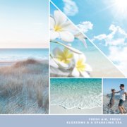 fresh air, fresh blossoms and a sparkling sea text on photo collage with beach landscapes and couple dancing image number 2