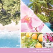 orchid blossoms, ripe fruit, and a lush escape text on photo collage with palm trees and beach image number 2