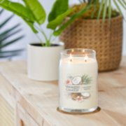 coconut beach signature large jar candle on table image number 3