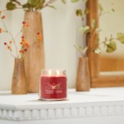 sparkling cinnamon signature medium jar candle on mantle image number 3