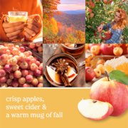 photo collage with apples and text that reads crisp apples, sweet cider and a warm mug of fall image number 1