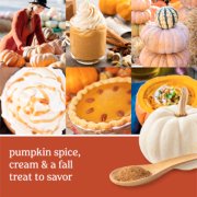 pumpkin spice, cream and a fall treat to savor text on photo collage with pumpkins, pie and latte image number 1