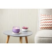 lemon lavender studio collection large jar candle on table with pink succulent image number 1