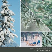 photo collage and text reading cool pine, cedarwood and chilly winter days image number 2