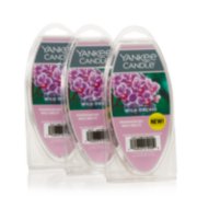 Wild Orchid