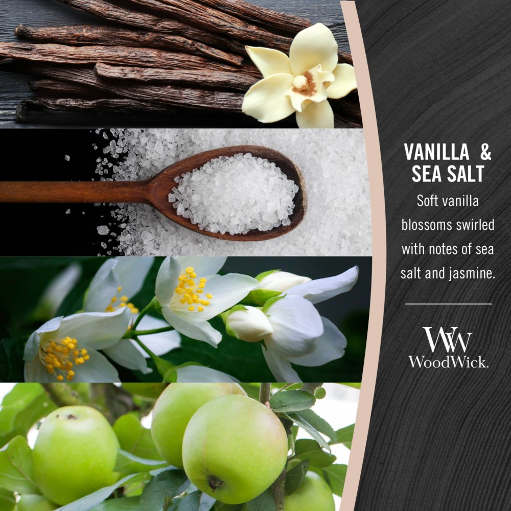 Vanilla sea salt perfume hot sale