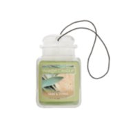 Cera Da Fondere Sage & Citrus Yankee Candle 5038581131894 vendita online