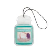 Yankee Candle Catching Rays Whole Home Air Freshener