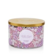 Wild Orchid Signature Medium Jar Candle - Signature Medium Jar Candles