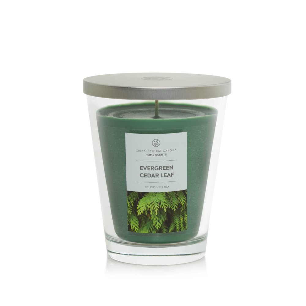 2-wick 19oz Evergreen Cedar Leaf Jar Candle - Home Scents By