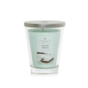 Sea Salt Vanilla