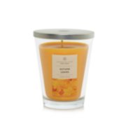 Autumn Leaves® 22 oz. Original Large Jar Candles - Large Jar