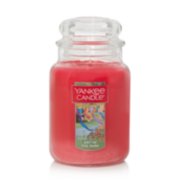 art in the park large jar candle