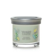 mint cucumber cooler signature small tumbler candle