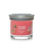 art in the park signature small tumbler candle