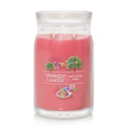 art in the park signature large jar candle