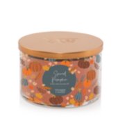 Spiced Pumpkin Yankee Candle® Minis - Yankee Candle Mini Singles