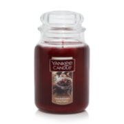 Yankee Candle Cranberry Chutney - Fragranced Wax Melts (Single Pack) 