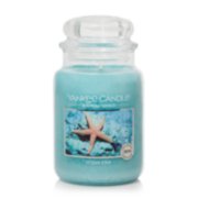Ocean Star™ - Returning Favorite