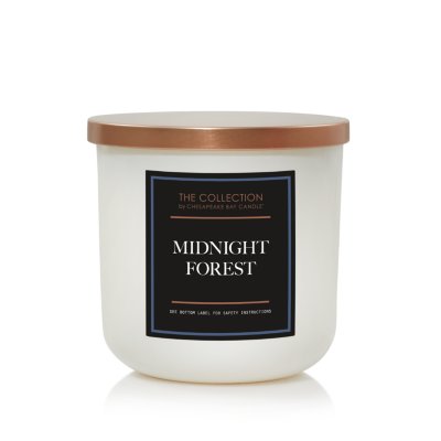 Midnight Forest
