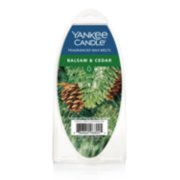 Balsam & Cedar wax melt surfboard
