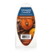 Spiced Pumpkin wax melt surfboard